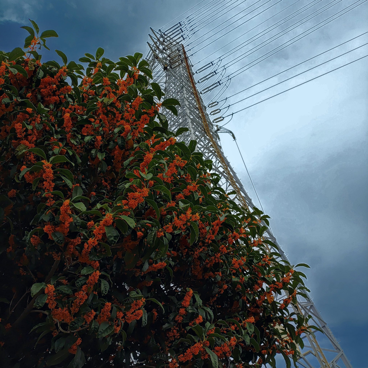 KIMG20251023_123800247~2