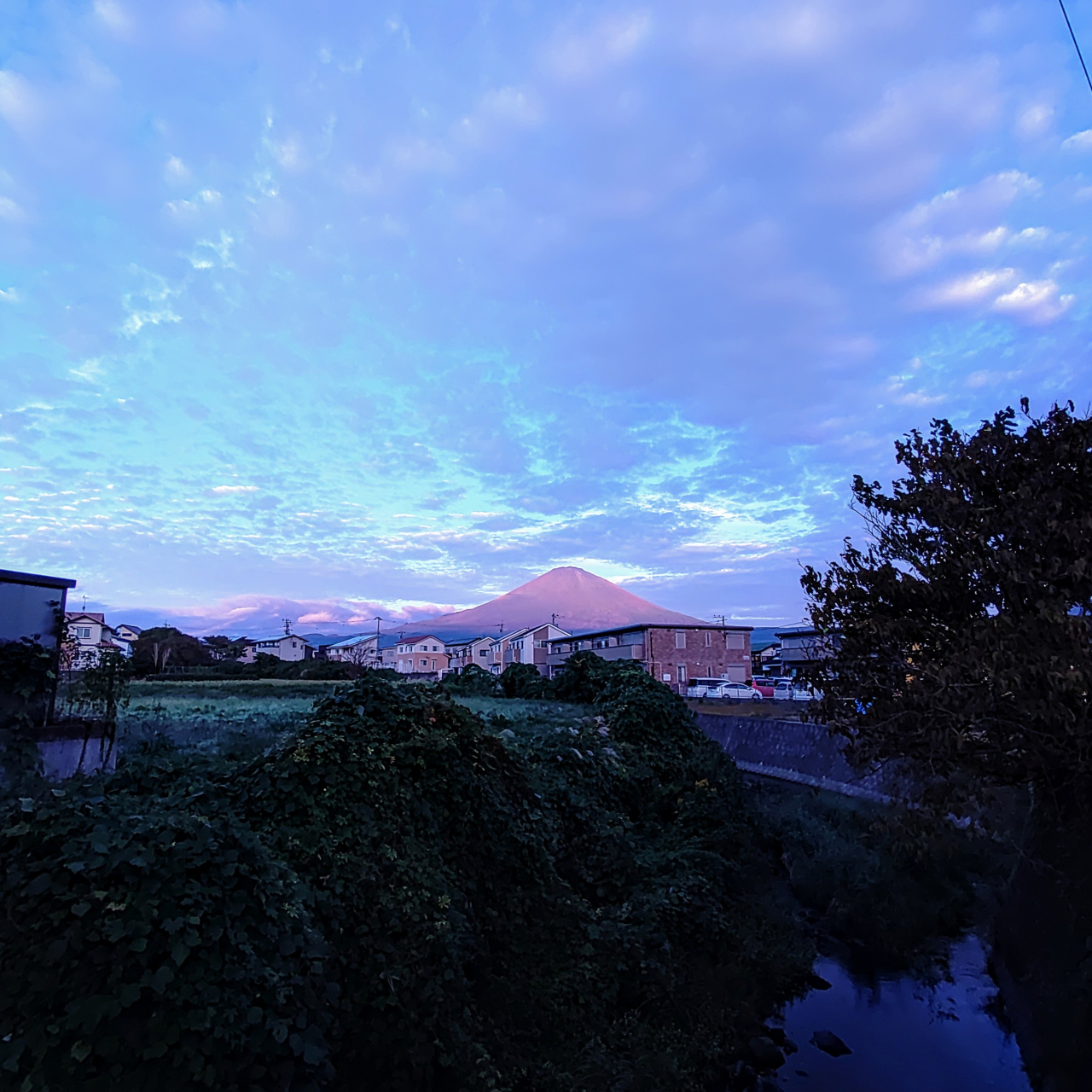 KIMG20251018_060330263~2