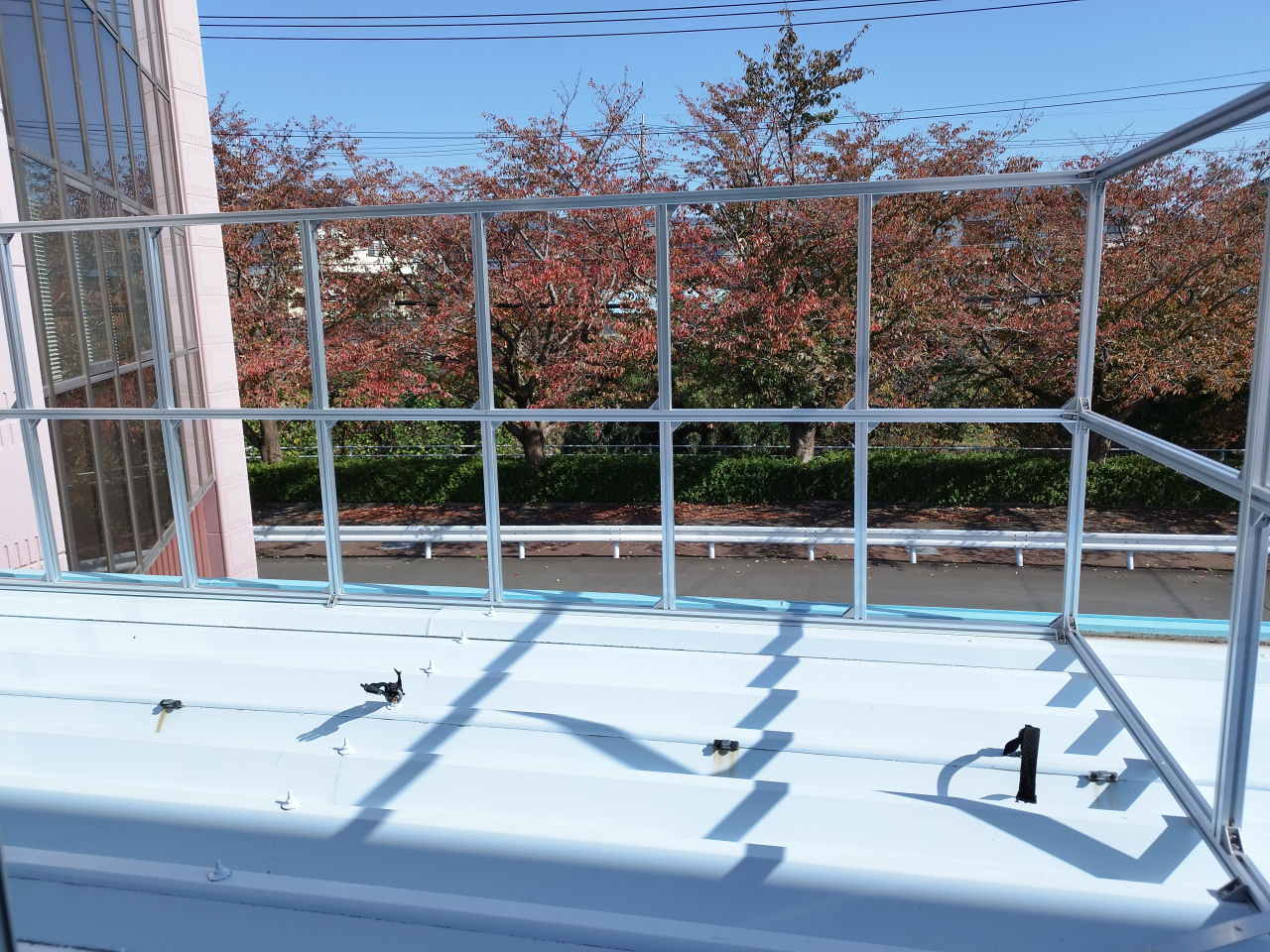 IMG_20251107_112559 (002)