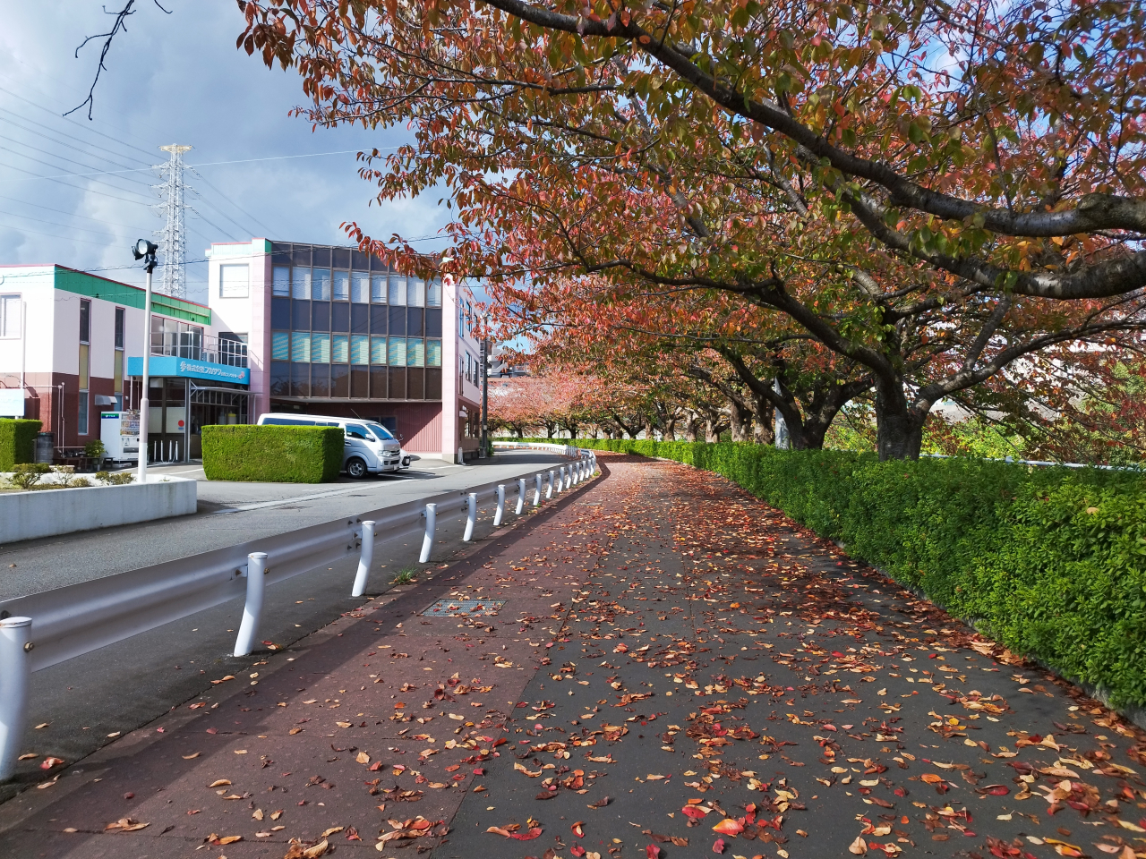 IMG_20251110_125523 (002)