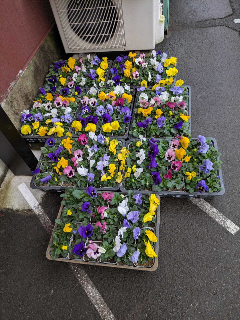 12231PXL_20251221_023536034.MP (002)